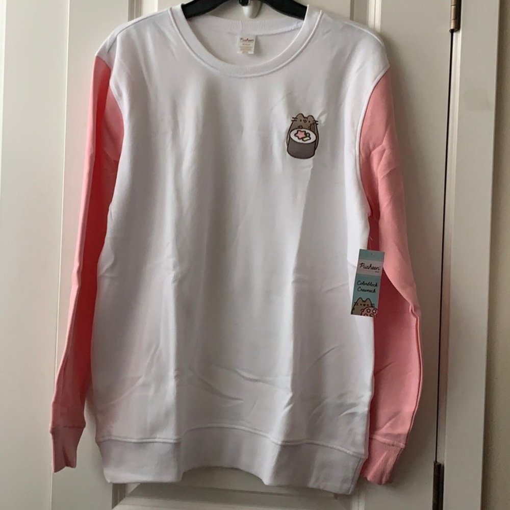 PUSHEEN CAT Sushi Colorblock Sweater Sz M